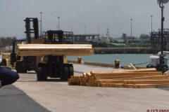 Cargo discharge/loading surveys